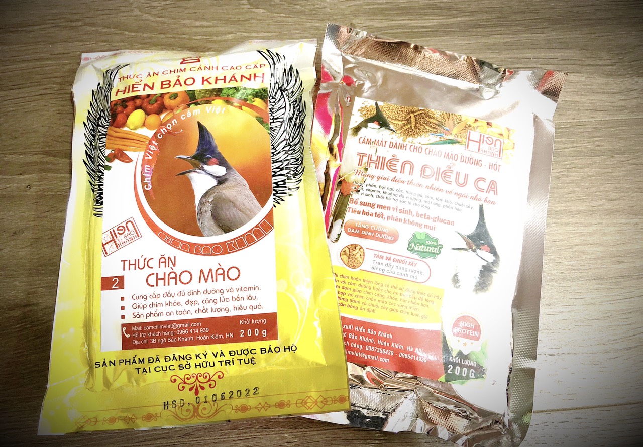 CÁM CHIM CHÀO MÀO SỐ 1 HIỂN BẢO KHÁNH