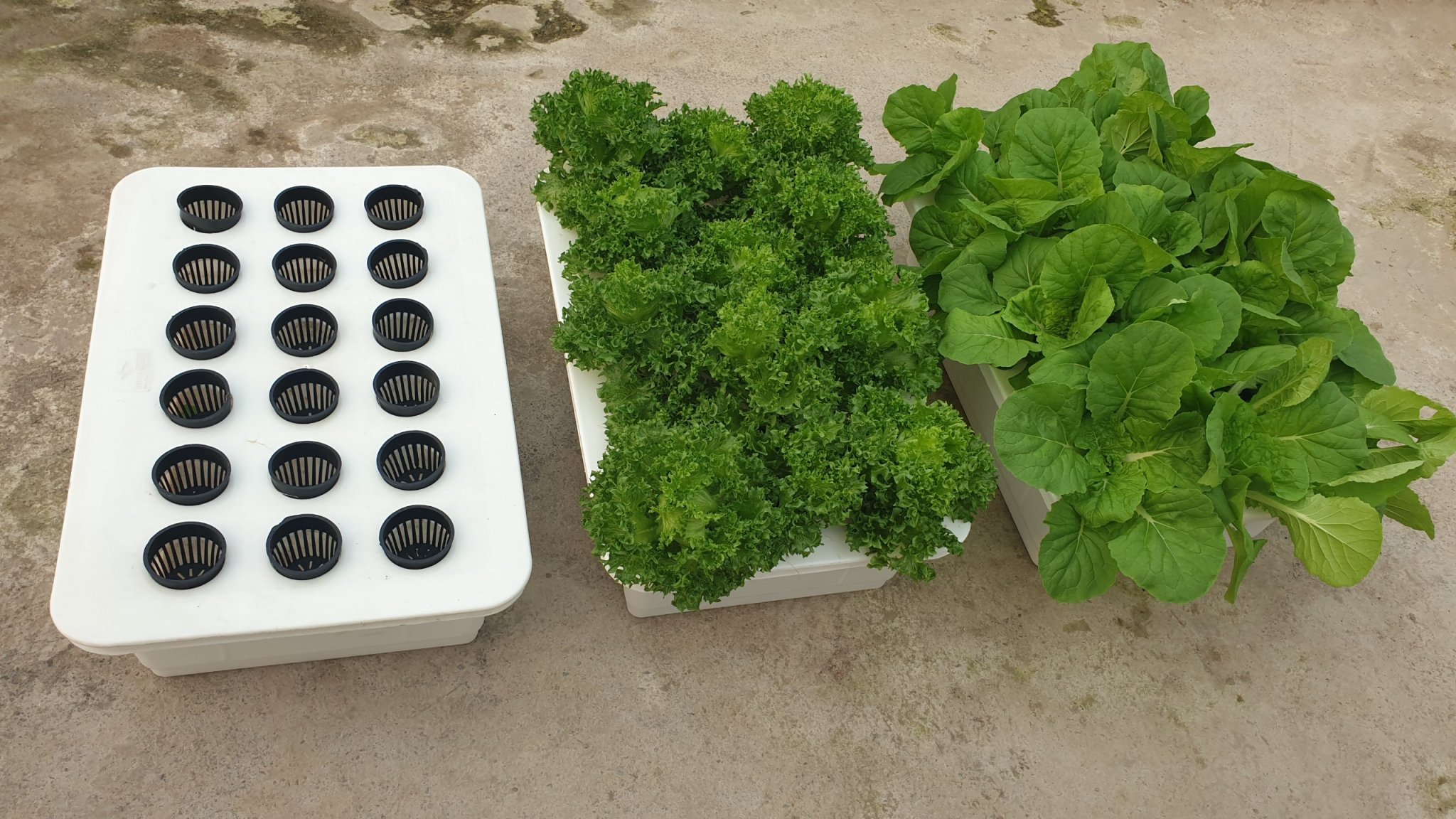 ComBo Thùng Thủy Canh Tĩnh và 18 rọ
