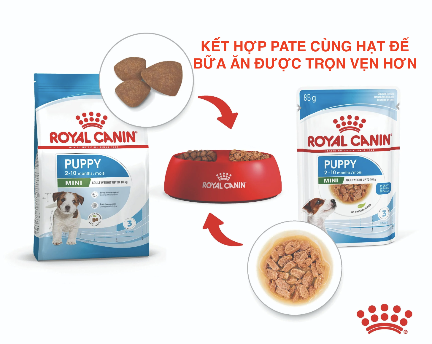 Pate Royal Canin Mini Puppy 85g cho chó con