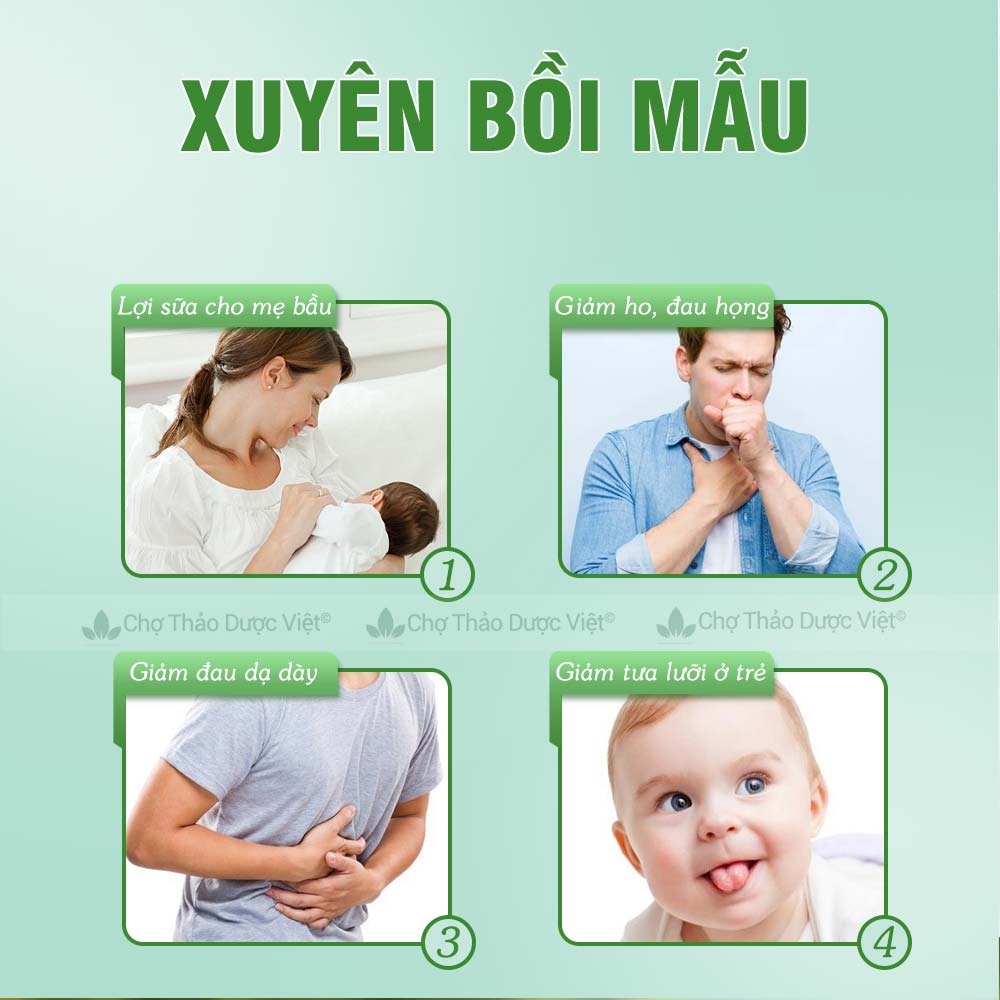 50g Xuyên Bối Mẫu (Bối Mẫu Tứ Xuyên)