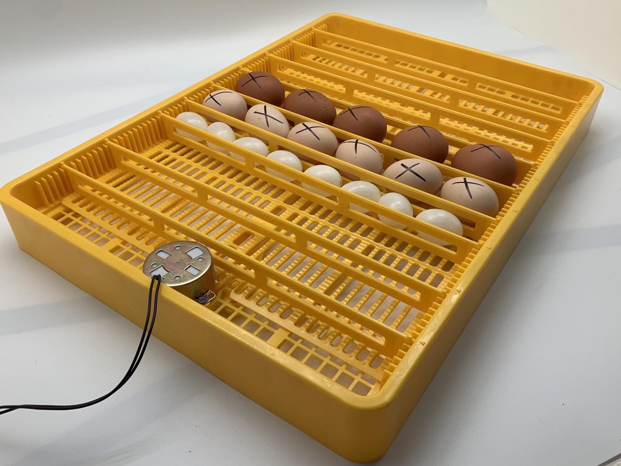 khay đảo trứng tự động