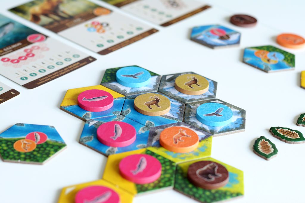 [US] Cascadia - Trò Chơi Board Game