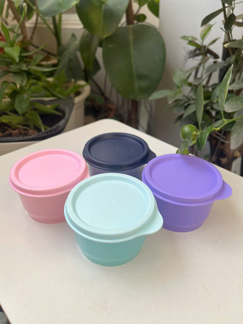 Bộ 04 hộp sữa chua Snack Cup 125ml Tupperware (01 hộp màu ngẫu nhiên)