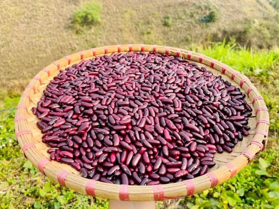 Đậu Đỏ Hạt to 1Kg Hữu cơ ( chuẩn hàng quê chính gốc )