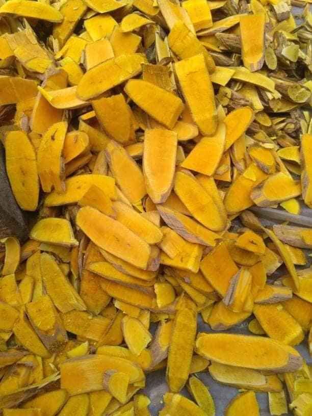 1KG CÂY MẬT GẤU