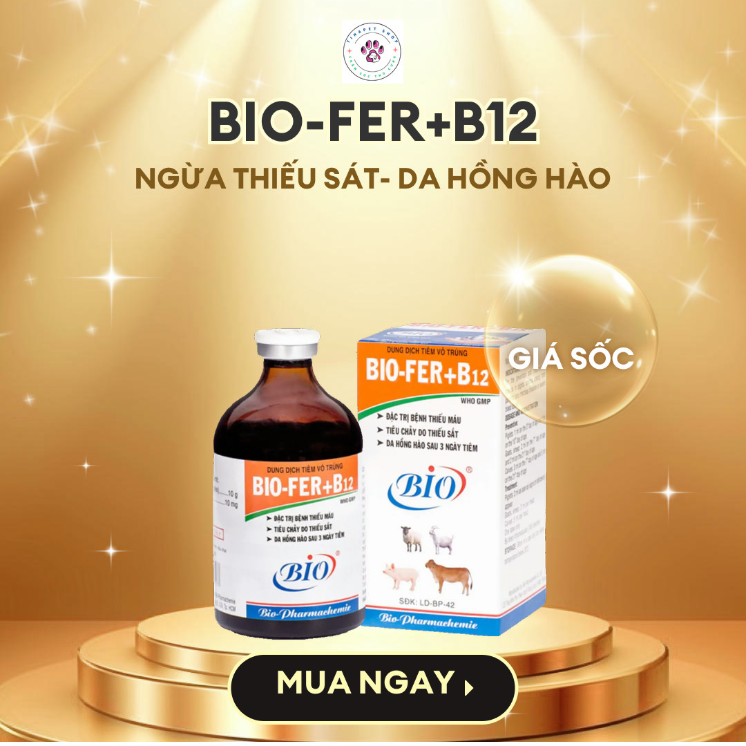 BIO-FER+B12 20ml. BỔ SUNG SẮT CHO HEO CON, BÊ NGHÉ