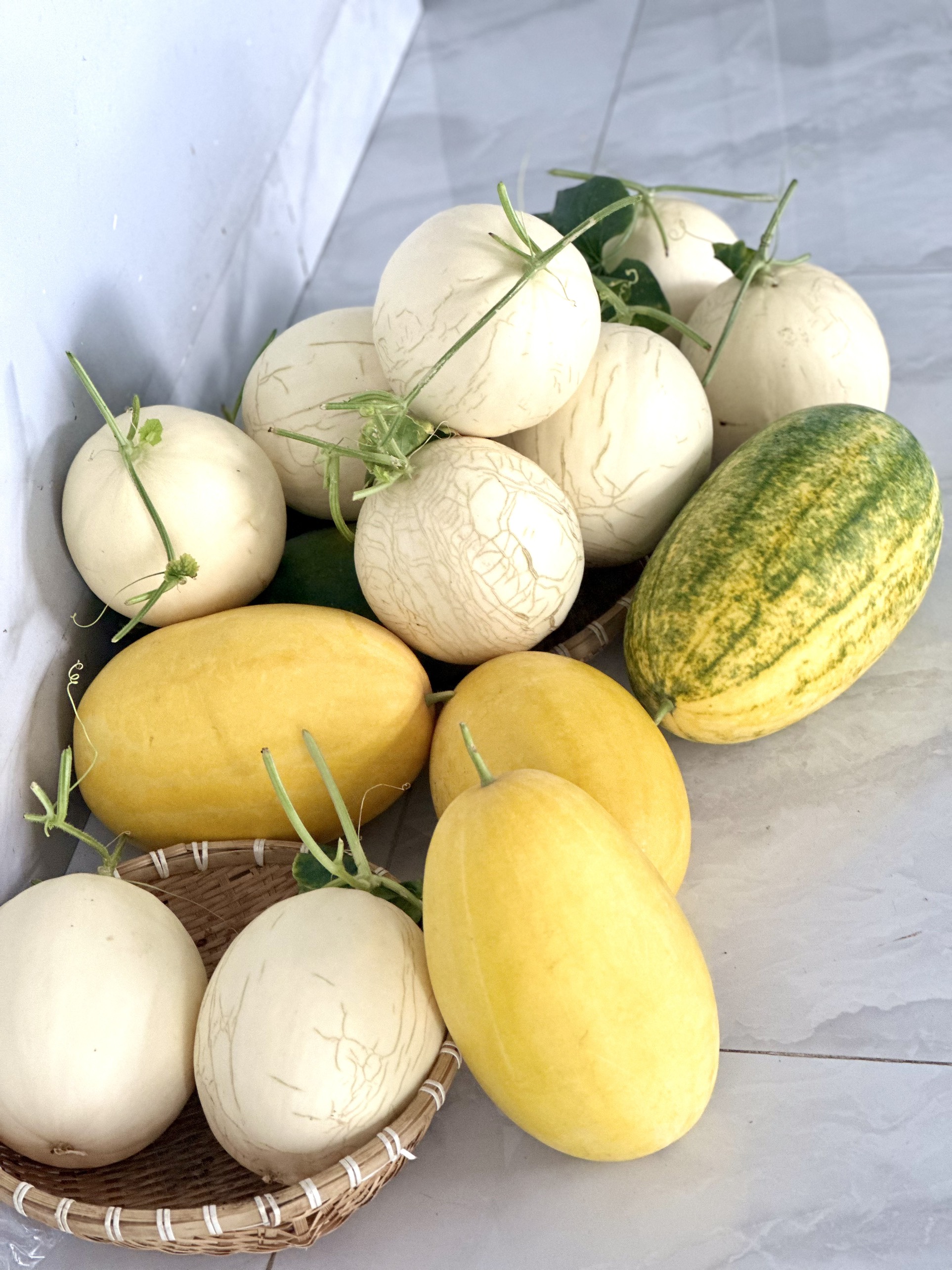 Phân NPK 17 17 17 TE gói 1kg, phân bón cây cảnh trồng rau cây trái