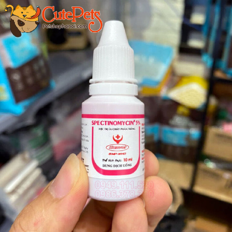 Phòng tiêu chảy 10ml dạng siro ngọt - Phụ kiện thú cưng Hà Nội