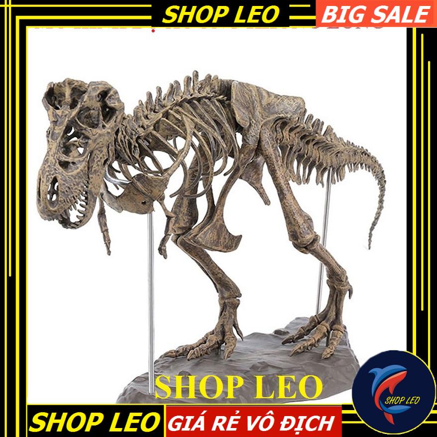 Mô hình bộ xương khủng long - mô hình trang trí - phụ kiện thủy sinh - shopleo