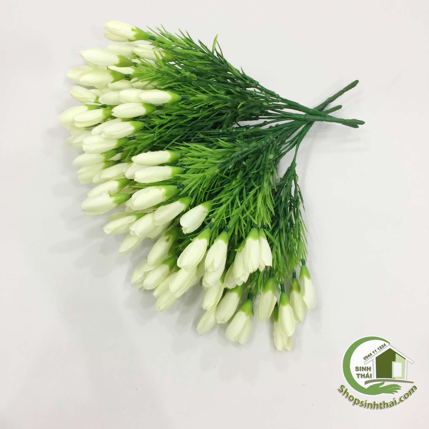 [HCM]Bụi Hoa Tulip Nhí Màu Trắng