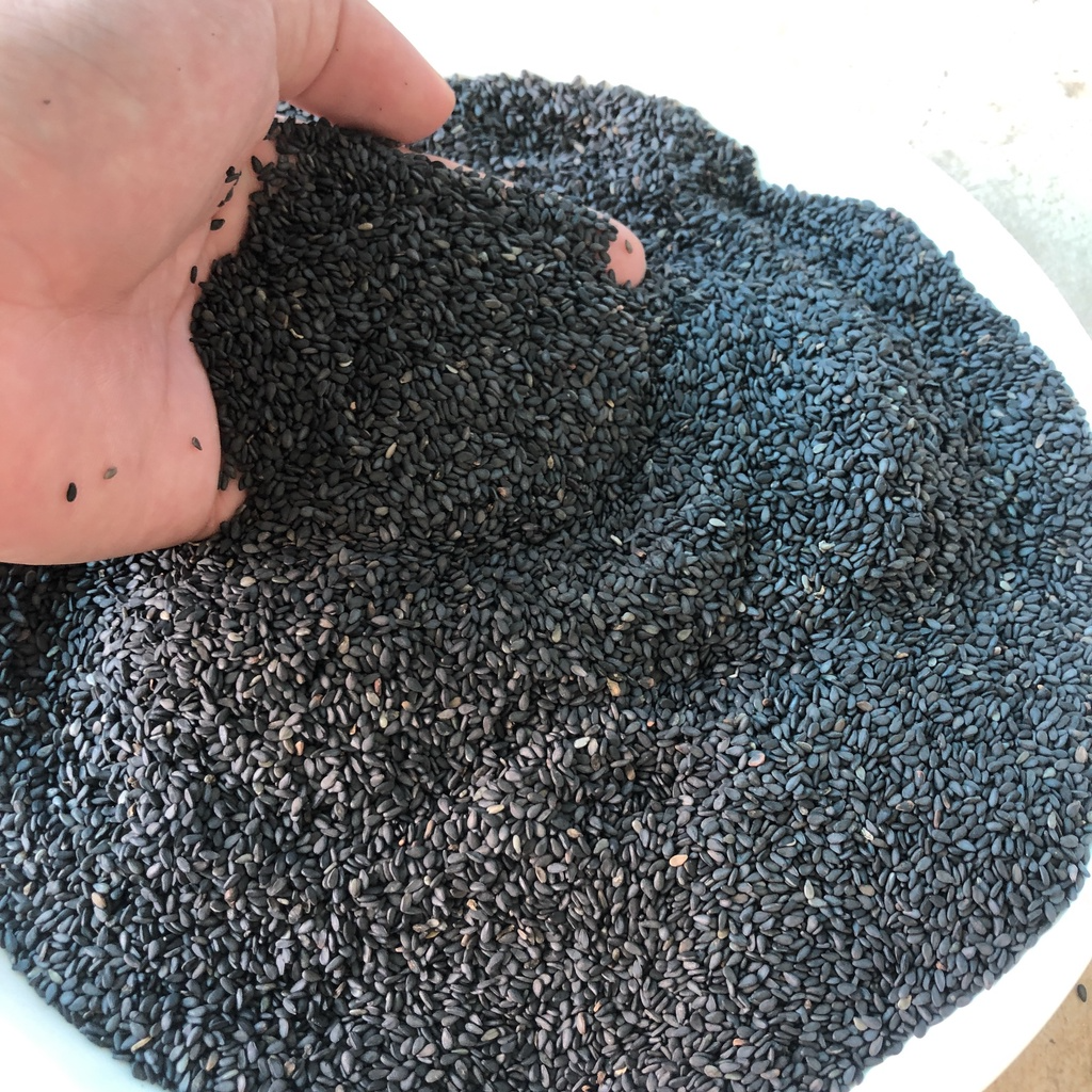 Mè đen sạch rang củi/vừng đen rang sẵn (0,5kg loại ngon)