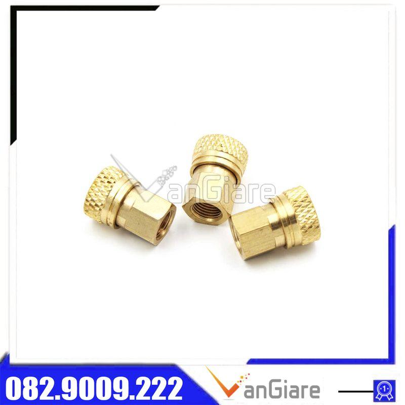 Khớp nối nhanh van nạp 1 chiều
