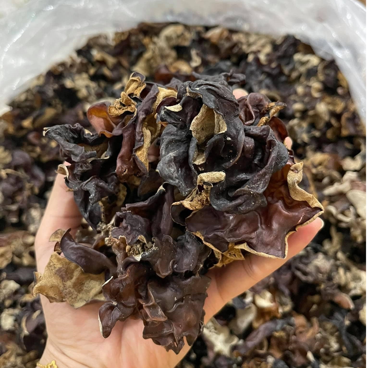 Mộc Nhĩ Rừng Tây Bắc - Sơn La 1Kg