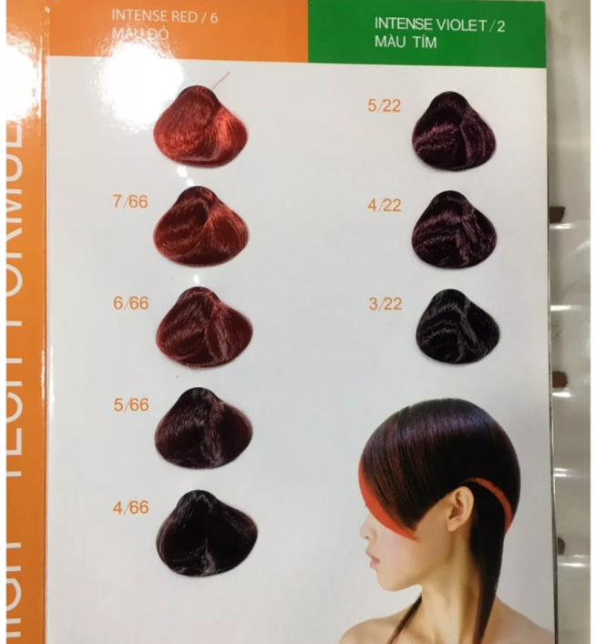 Thuốc nhuộm tóc everflor 100ml đủ màu
