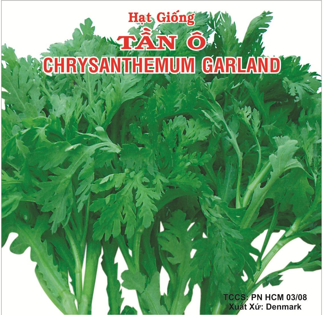 hạt giống rau tần ô
