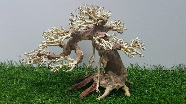 [HCM]Lũa bonsai cấy rêu ( dài23- cao16cm)