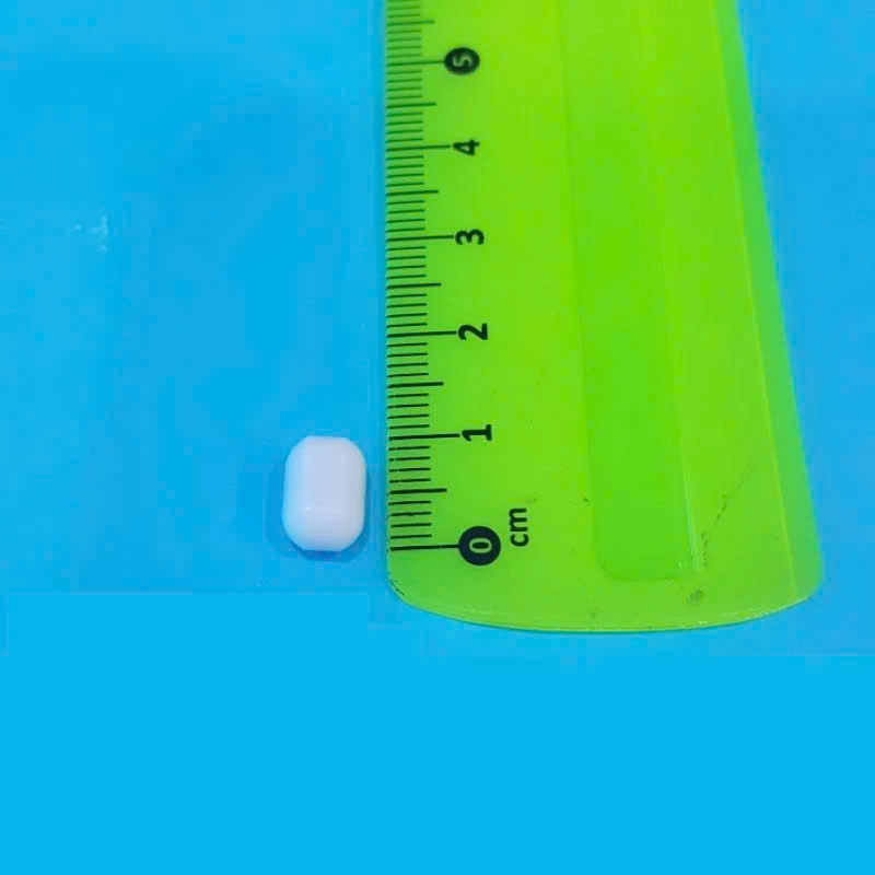 [HCM]Cá từ nam châm con nhộng con khuấy từ 4cm