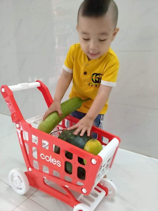 XE ĐẨY SIÊU THỊ COLES
