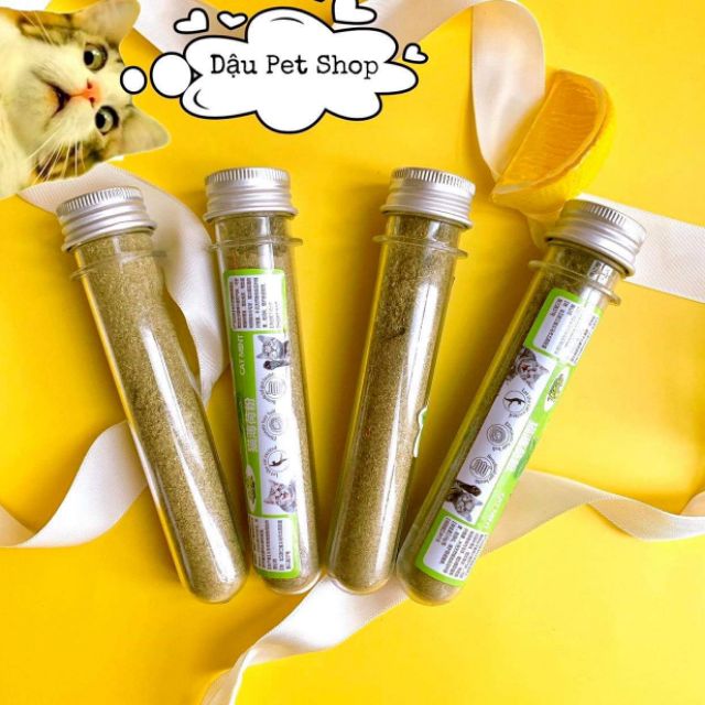 [HCM]Catnip cỏ bạc hà dành cho mèo dạng ống