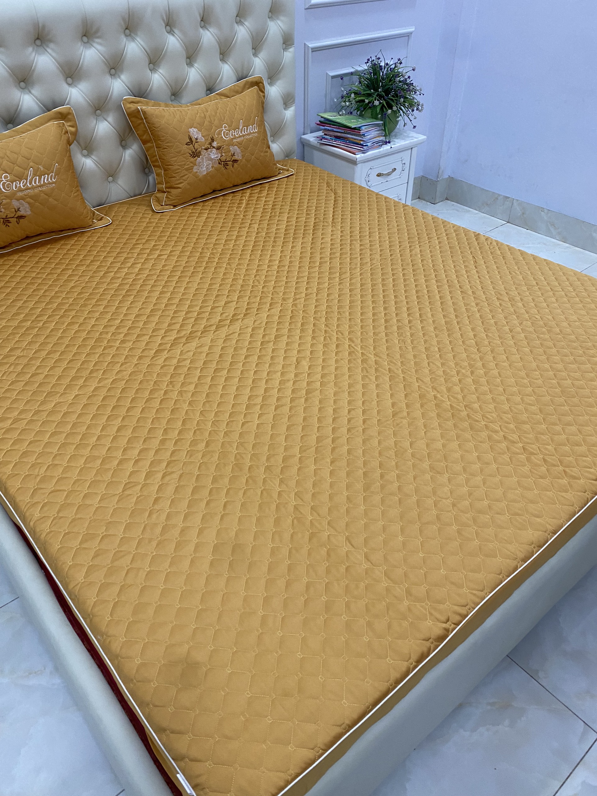 Bộ chăn ga gối chun trần bông 7 món