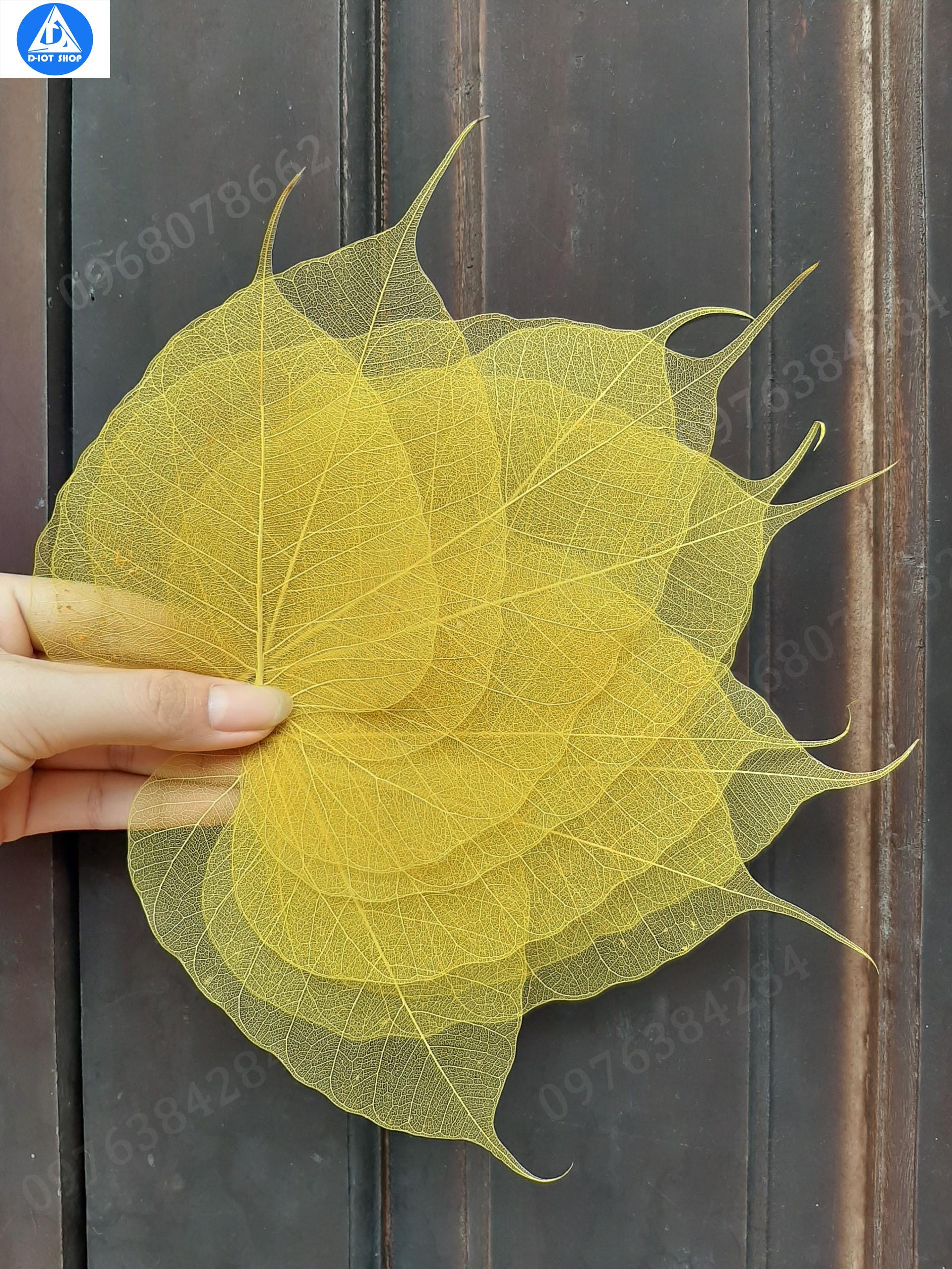 set 10 lá bồ đề đã nhuộm vàng tự nhiên