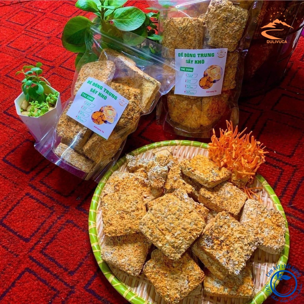 Đế nấm đông trùng hạ thảo khô ngâm rượu, pha trà sấy thăng hoa Huy Cương. Đông trùng hạ thảo sấy lạnh nuôi trồng hữu cơ
