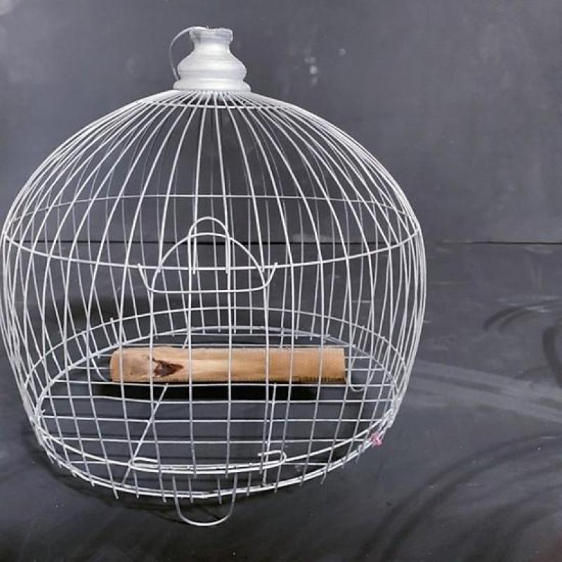 LỒNG CHIM CU SẮT 30X30