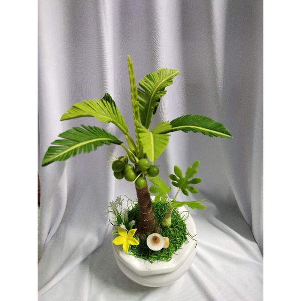 Chậu dừa đất sét cao 35cm