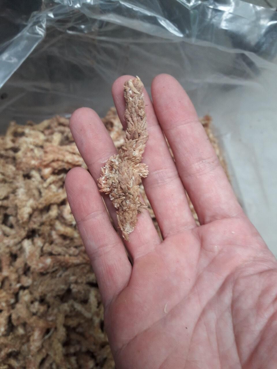 100g rêu sâu chile siêu chất lượng