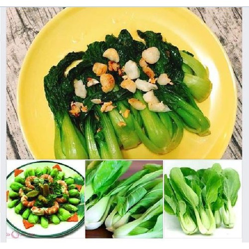Hạt giống rau cải chíp xanh - Gói 20gram