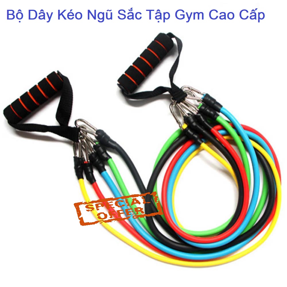 Dây Kháng Lực Đa Năng Dây Tập Gym, Bộ 5 Dây Tập Thể Dục Ngũ Sắc - Chất Liệu Cao Su Bền Dai Độ Đàn Hồi Cao Dễ Tập Luyện - Dụng cụ tập cơ bụng tập gym ở nhà (MÓC SẮT)- Hàng Tốt BIGSALE 50%