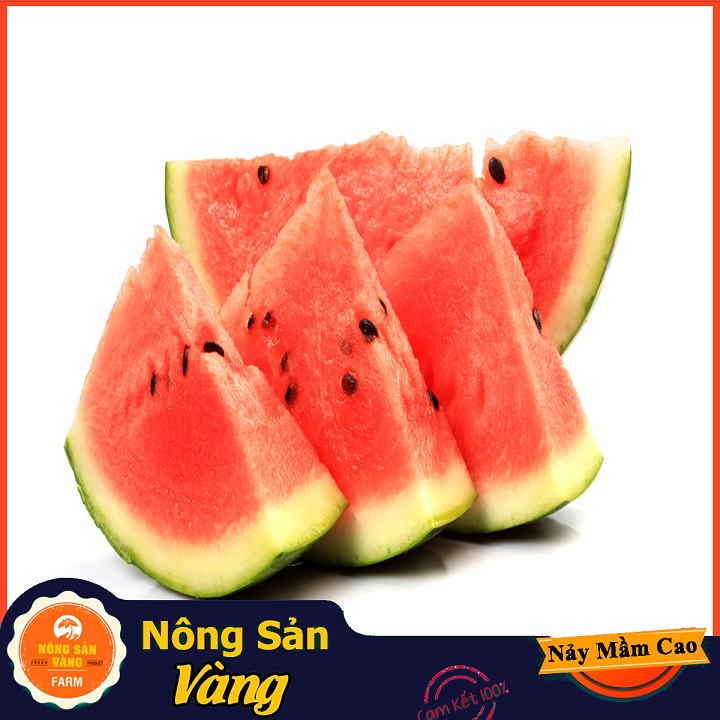 Hạt giống Dưa Hấu Vỏ Xanh Đen, Sọc Mờ, Siêu Ngọt, Ít Hạt (Gói 20 Hạt) - Nông Sản Vàng