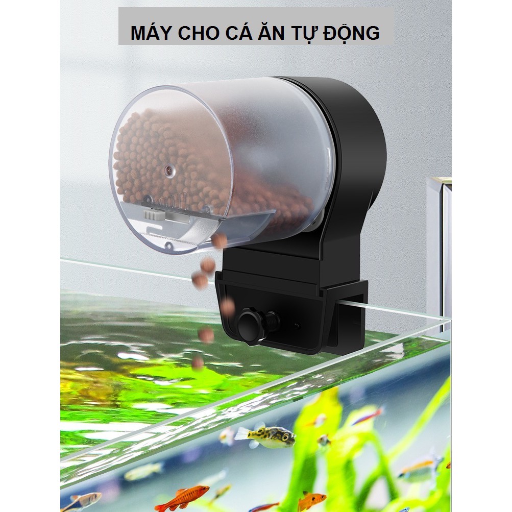 Máy cho cá ăn tự động SoBo DA08