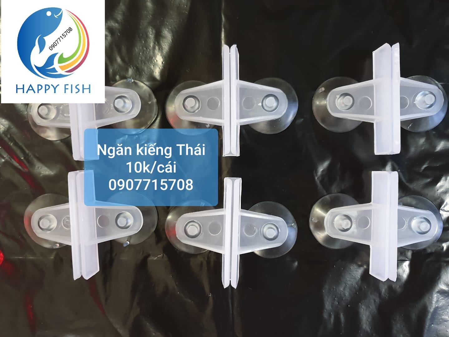 Hít Kính ngăn hồ cá của Thái Lan
