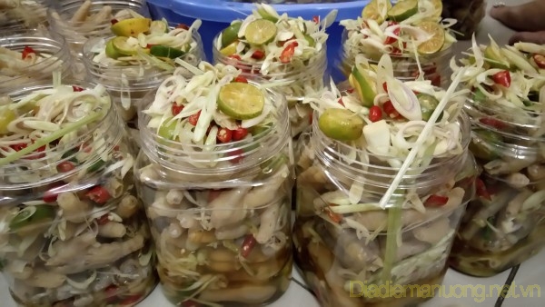 Chân Gà Ngâm Xã Tắc