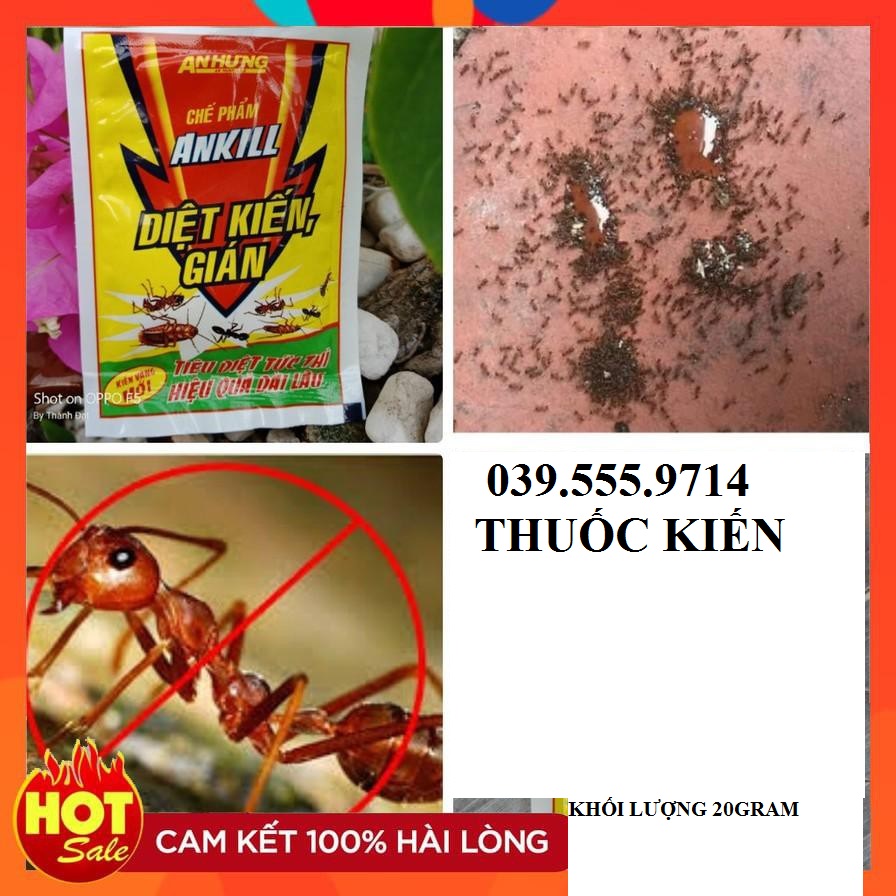 [Chính hãng] Chế phẩm Ankill diệt kiến gián côn trùng gói 20gram