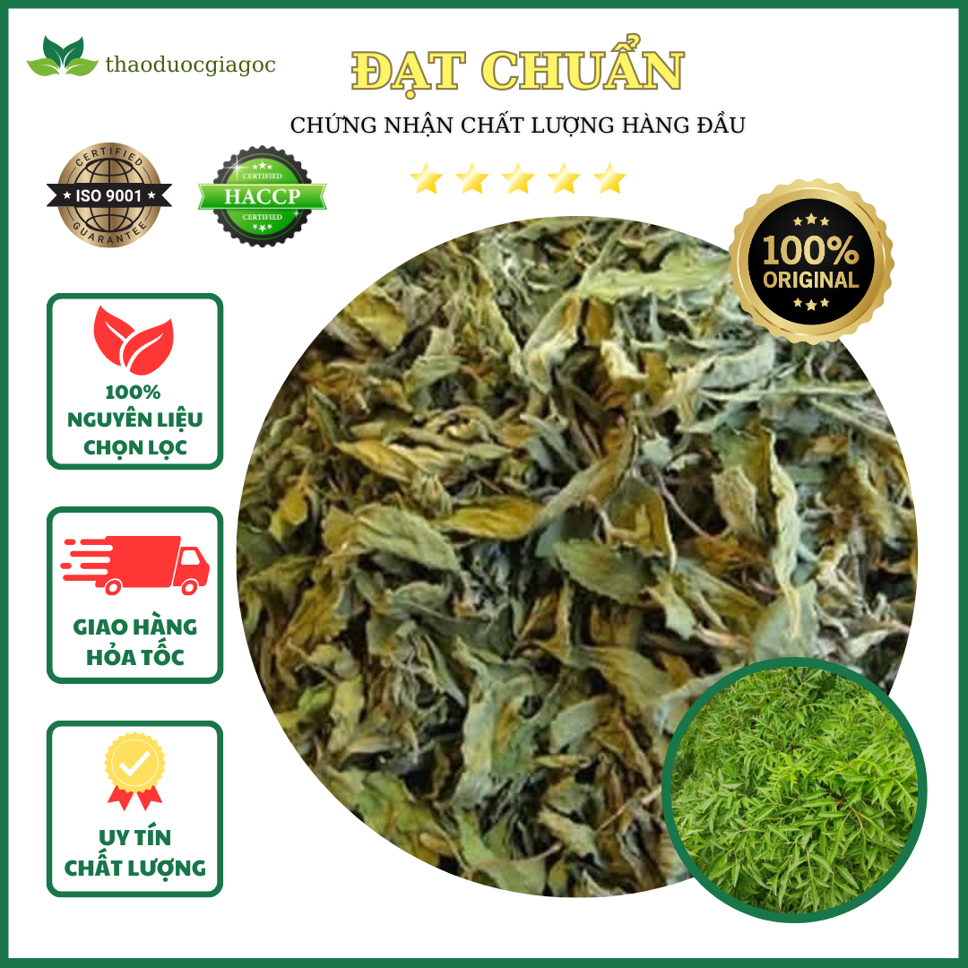 Lá Đinh Lăng khô 1KG hàng chuẩn loại 1