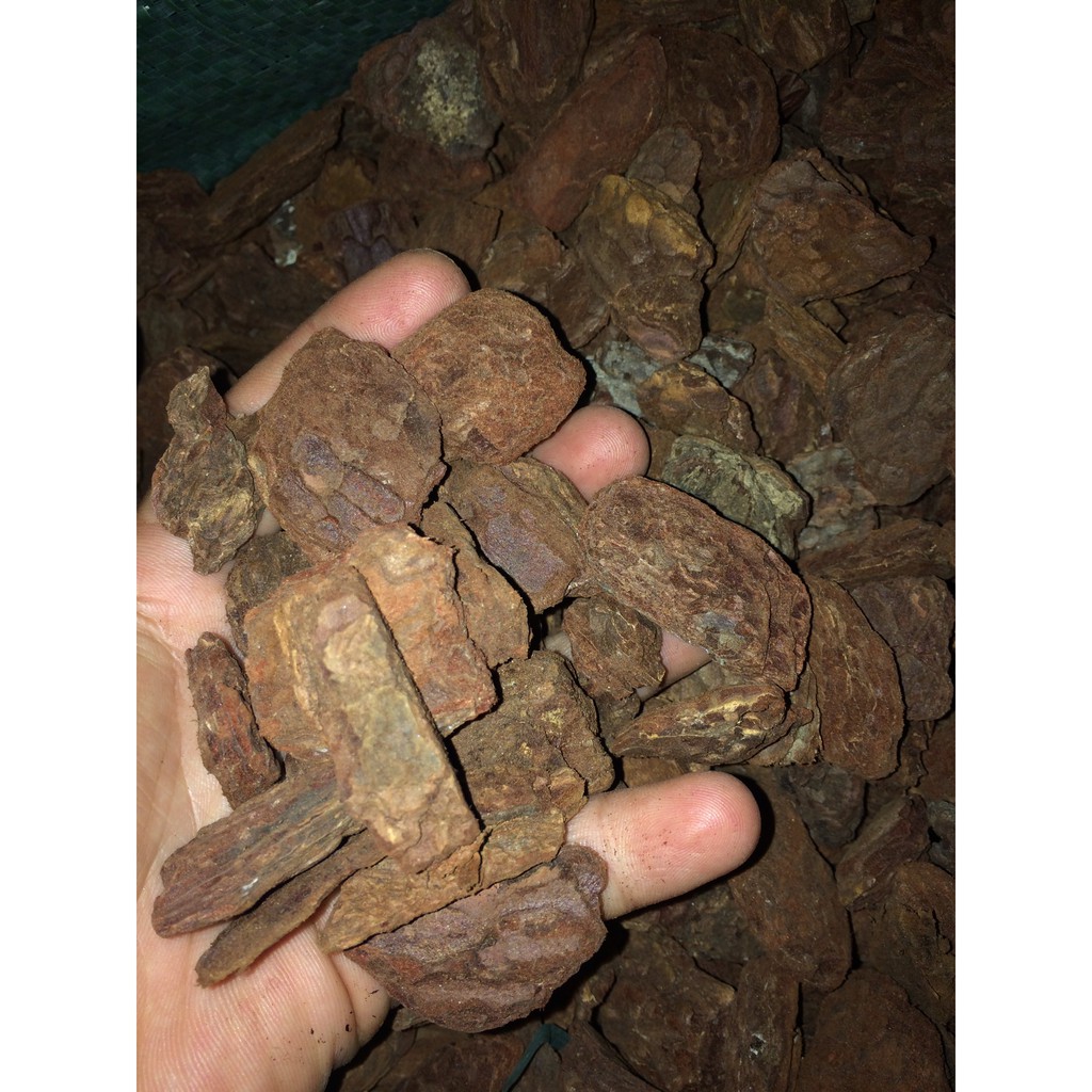 1kg vỏ thông xay trồng lan 1-3cm