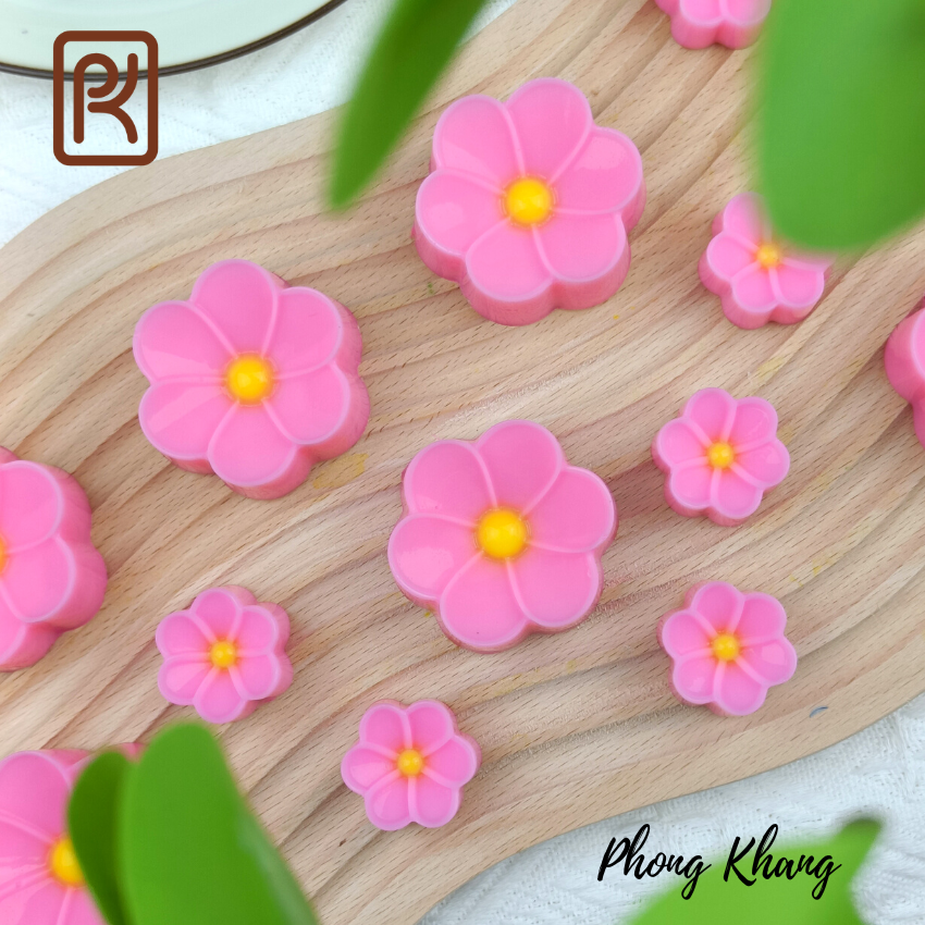 Combo 12 khuôn silicon ( 6 khuôn 5cm-6 khuôn 3cm) Phong Khang hình hoa sứ