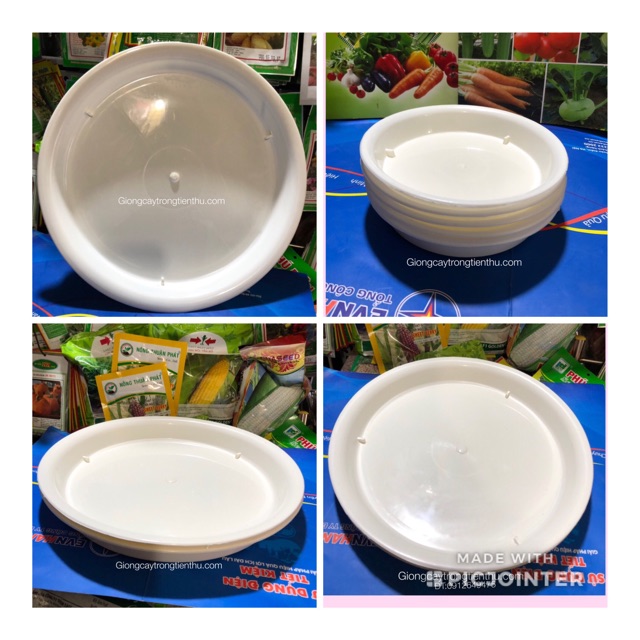 ĐĨA LÓT CHẬU CÂY CẢNH PHI 35 (10 cái)
