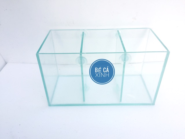 Bể cá 3 ngăn để bàn - bể cá betta cỡ 30*15*16cm-bể cá trang trí