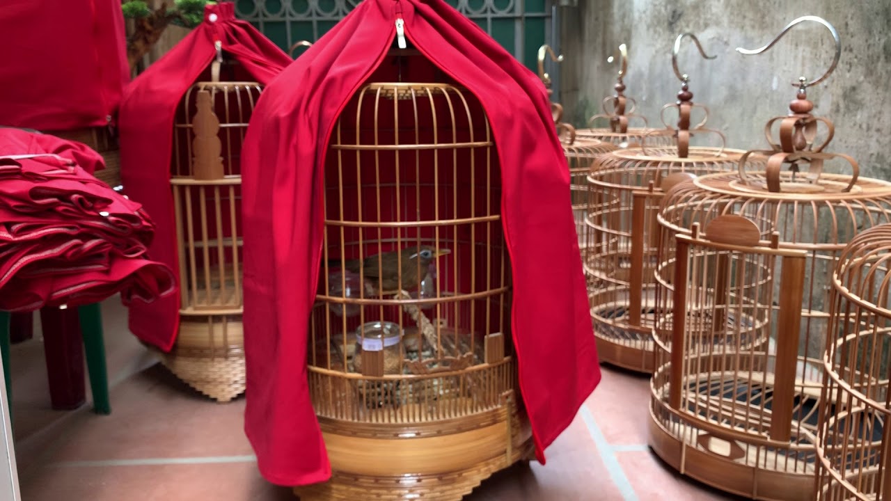 Áo lồng chim hoạ mi đỏ đô
