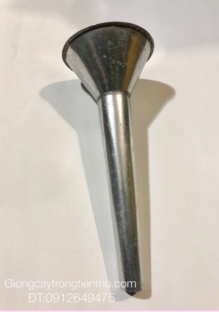 ĐẦU SEN TƯỚI CÂY