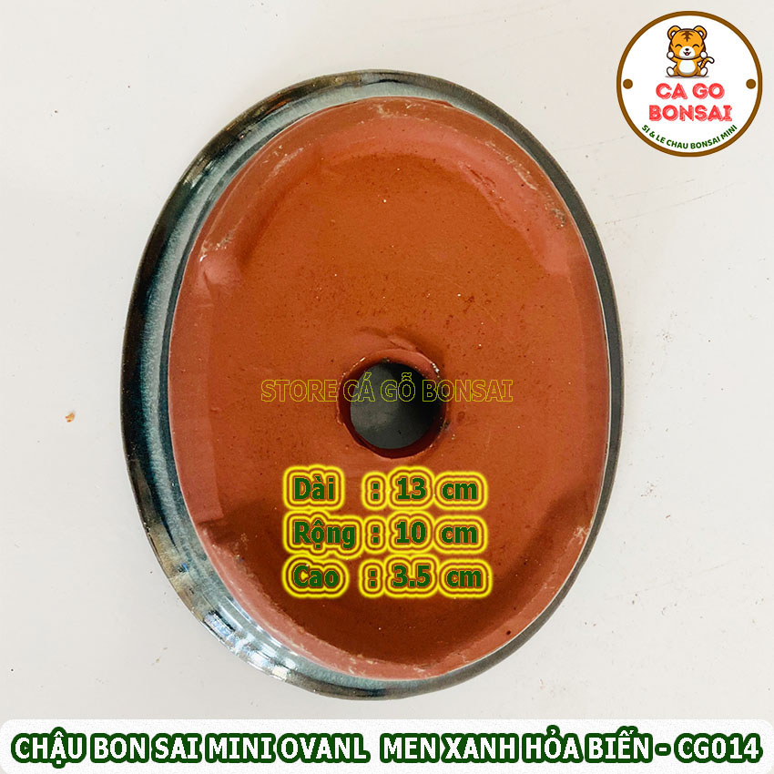 Chậu Bonsai Mini Oval Men Xanh Hỏa Biến - CG014