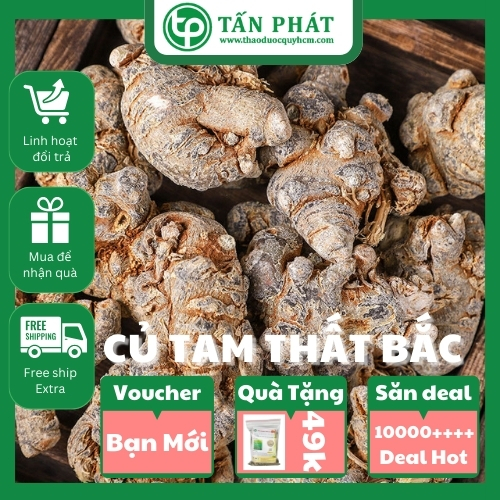 Củ tam thất bắc Khô Cao Cấp 100g Tấn Phát ( Củ To Đều Nhiều Năm Tuổi) - Hàng công ty chất lượng cao