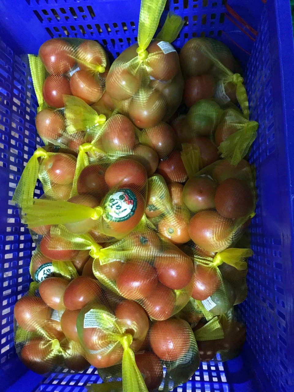 Cà chua Đà Lạt FAFA 500gr/túi
