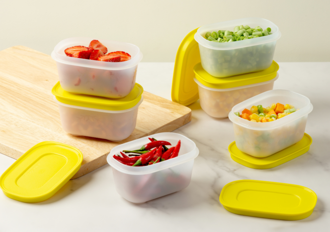 Hộp trữ đông Tupperware nhiều size