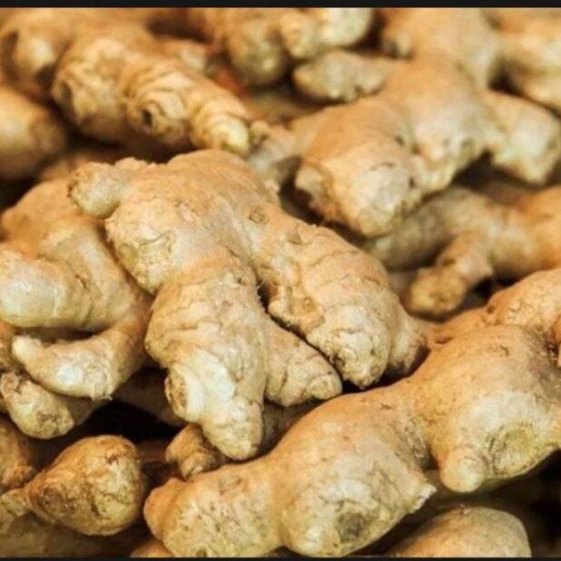 củ gừng tươi 500g