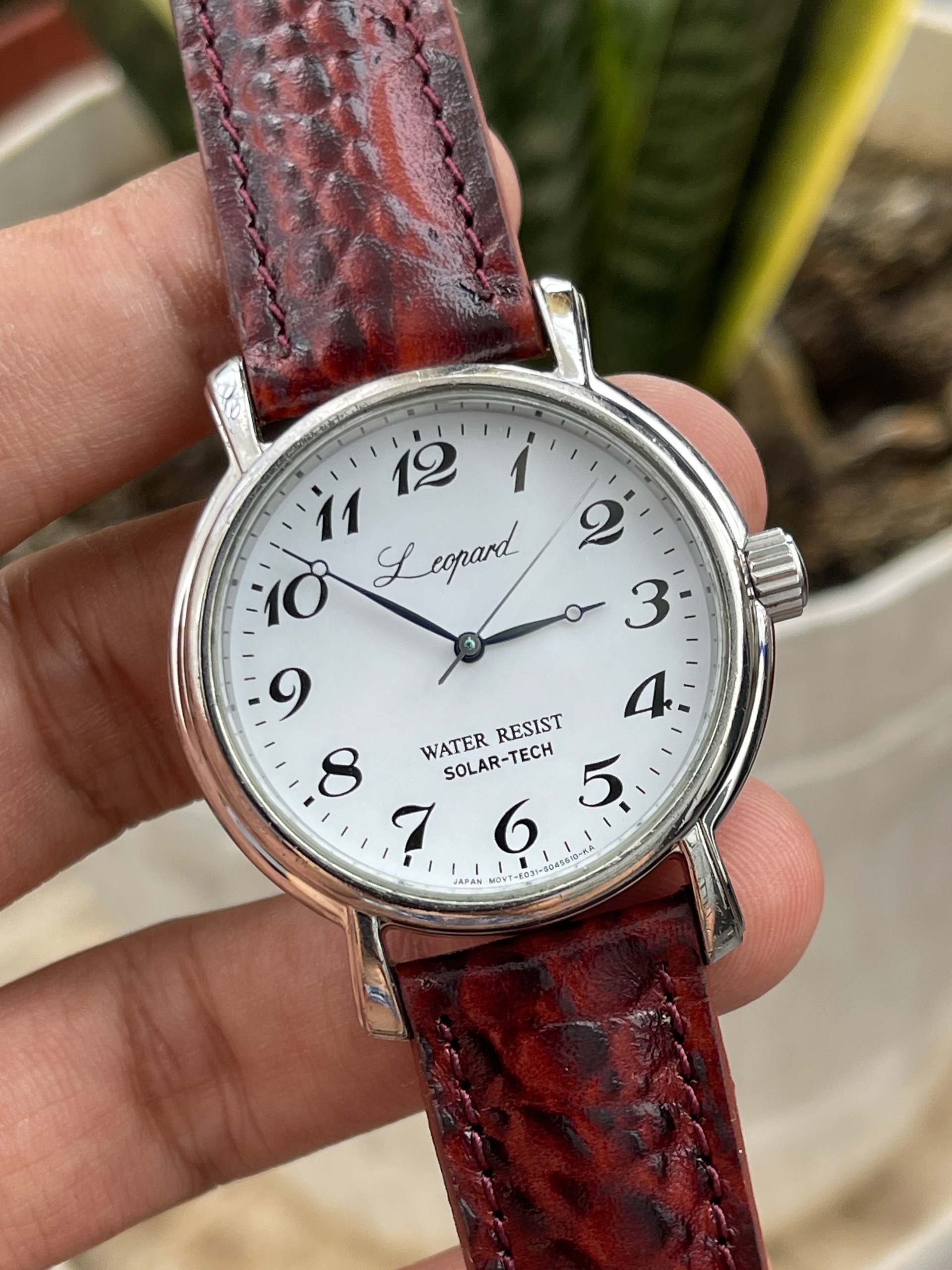 Đồng hồ nam Citizen Leopard chạy pin hàng Si