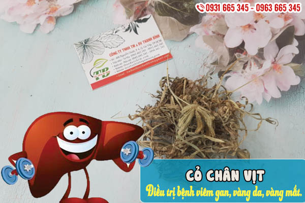 Cỏ chân vịt khô 1kg - thảo dược thanh bình
